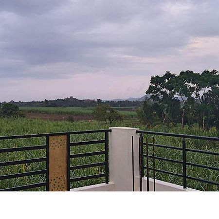Coconut Homestay Hampi Eksteriør billede