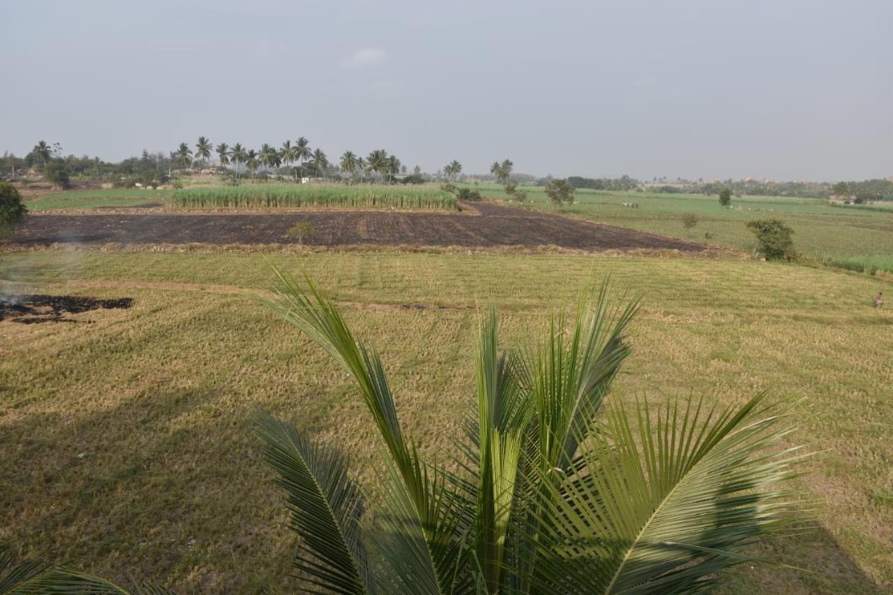 Coconut Homestay Hampi Eksteriør billede
