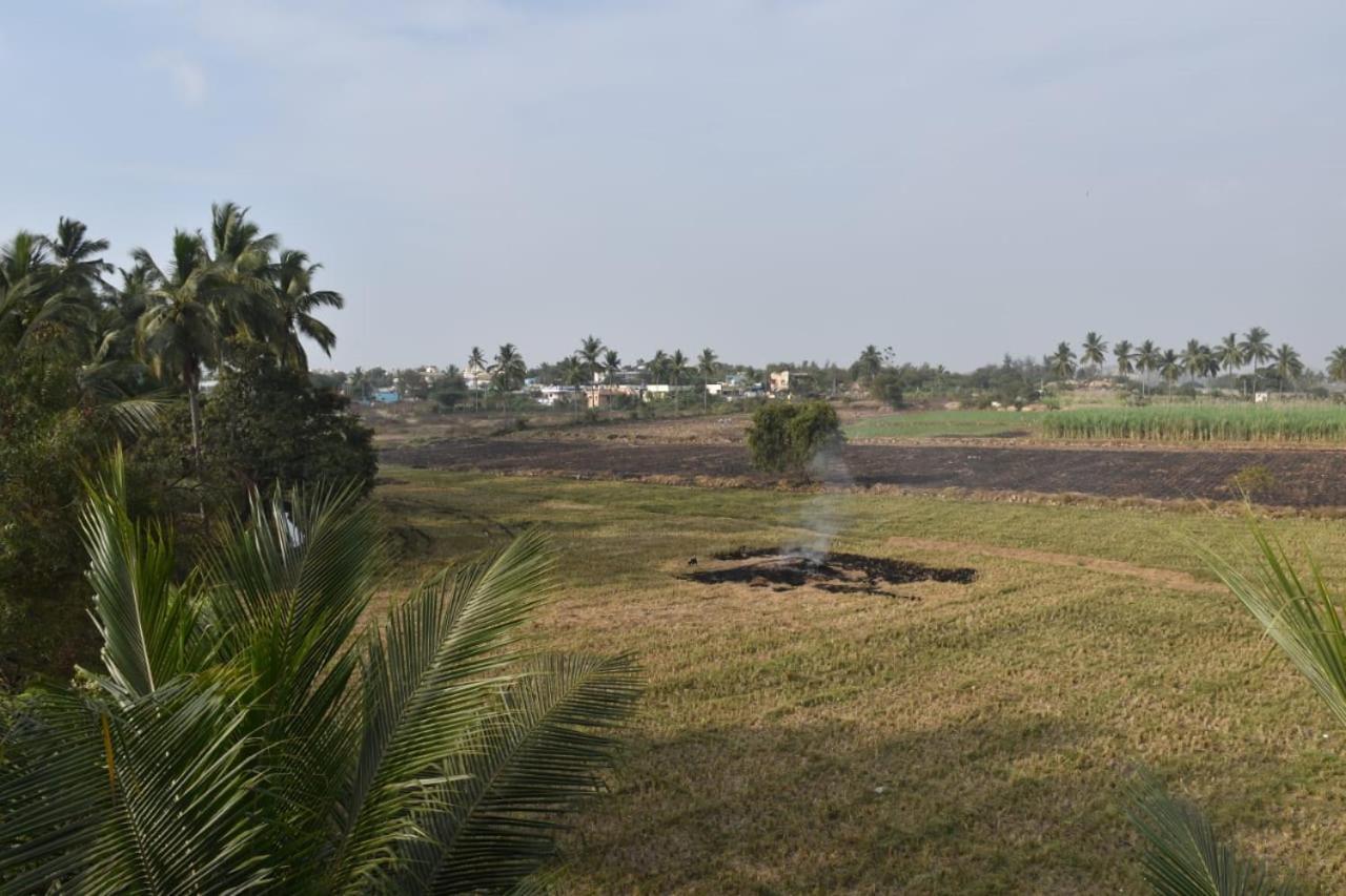 Coconut Homestay Hampi Eksteriør billede